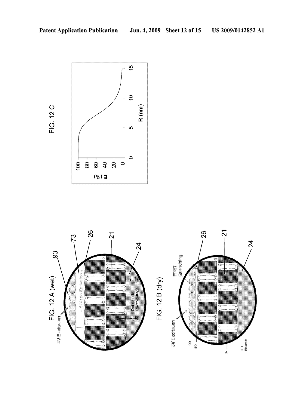 BACTERIORHODOPSIN-BASED SENSORS - diagram, schematic, and image 13