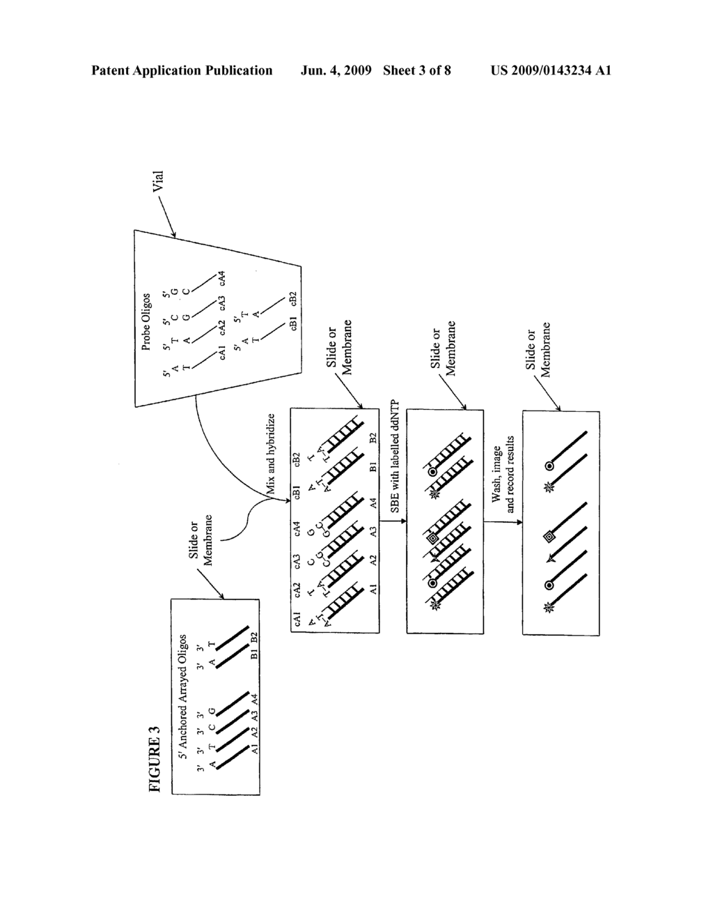 QUALITY CONTROL METHODS FOR ARRAYED OLIGONUCLEOTIDES - diagram, schematic, and image 04