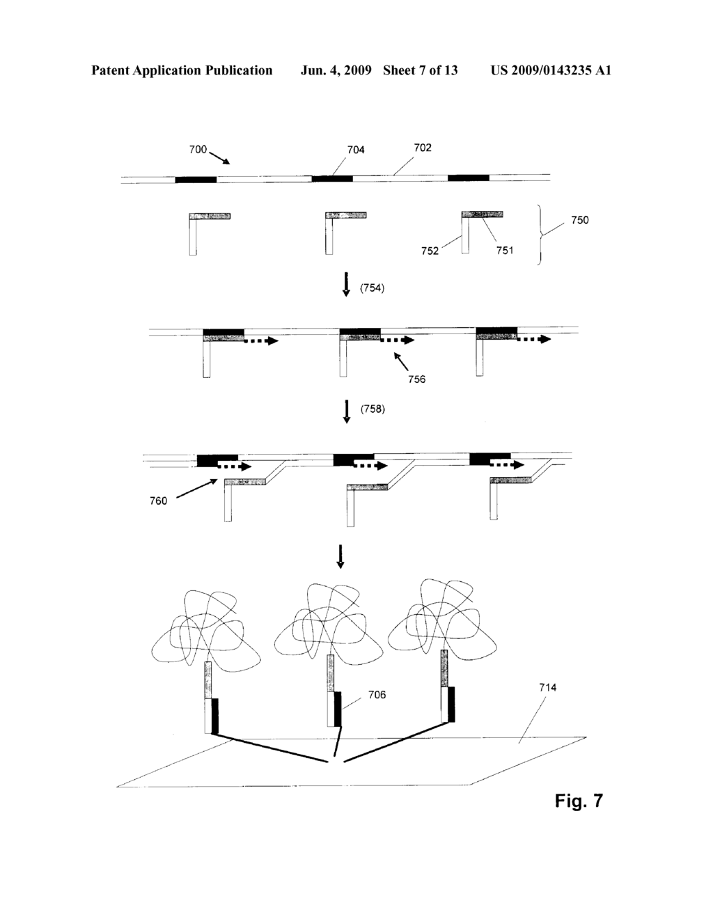 EFFICIENT ARRAYS OF AMPLIFIED POLYNUCLEOTIDES - diagram, schematic, and image 08