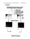 Oligonucleotide matrix and methods of use diagram and image