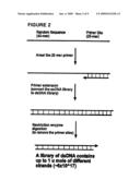 Oligonucleotide matrix and methods of use diagram and image