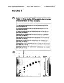 Oligonucleotide matrix and methods of use diagram and image