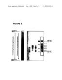 Oligonucleotide matrix and methods of use diagram and image