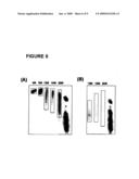 Oligonucleotide matrix and methods of use diagram and image