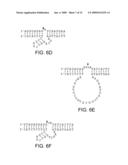 FLUORESCENCE BASED BIOSENSOR diagram and image