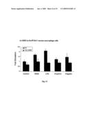 Orthopoxvirus vectors, genes and products thereof diagram and image