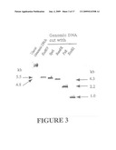 Yeast membrane protein expression system and its application in drug screening diagram and image