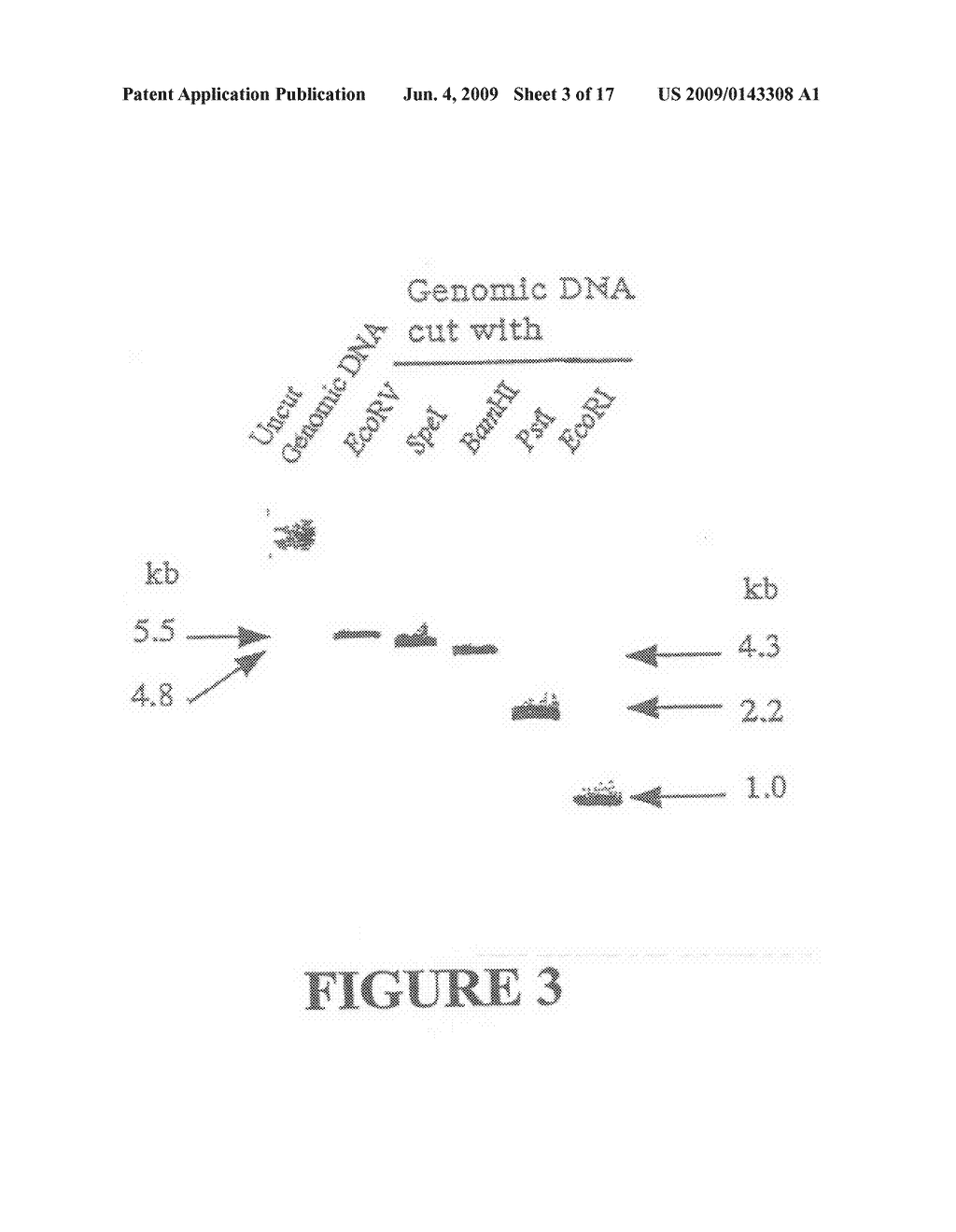 Yeast membrane protein expression system and its application in drug screening - diagram, schematic, and image 04