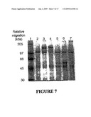 Yeast membrane protein expression system and its application in drug screening diagram and image