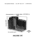 Yeast membrane protein expression system and its application in drug screening diagram and image