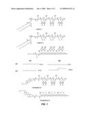 CELL TRANSFECTING FORMULATIONS OF SMALL INTERFERING RNA RELATED COMPOSITIONS AND METHODS OF MAKING AND USE diagram and image