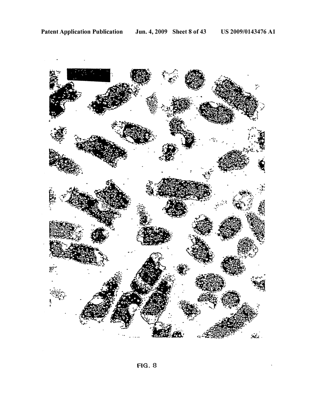 Antimicrobial Nanoemulsion Compositions and Methods - diagram, schematic, and image 09