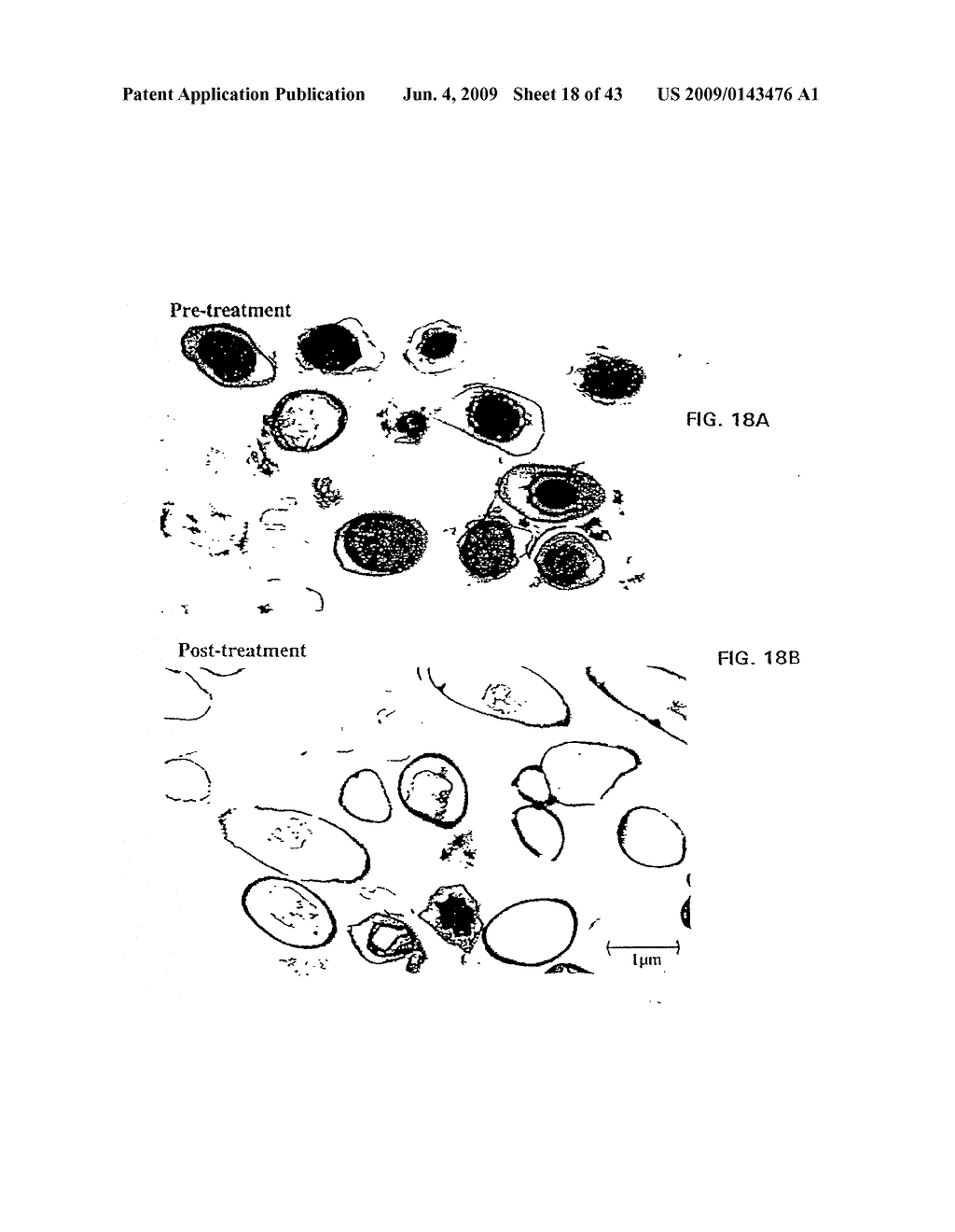 Antimicrobial Nanoemulsion Compositions and Methods - diagram, schematic, and image 19