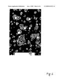 Polycarbonate Resin Composition and Molded Product Produced from the Same diagram and image