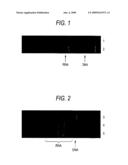 METHOD FOR SEPERATING AND PURIFYING RNA diagram and image