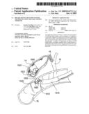 Biliary Shunts, Delivery Systems, Methods of Using the Same and Kits Therefor diagram and image