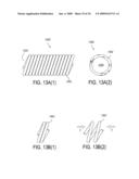 Biliary Shunts, Delivery Systems, Methods of Using the Same and Kits Therefor diagram and image