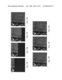 Maximum simplex volume criterion-based endmember extraction algorithms diagram and image