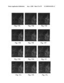 Maximum simplex volume criterion-based endmember extraction algorithms diagram and image