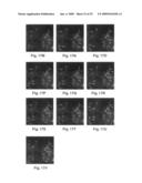 Maximum simplex volume criterion-based endmember extraction algorithms diagram and image