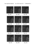 Maximum simplex volume criterion-based endmember extraction algorithms diagram and image