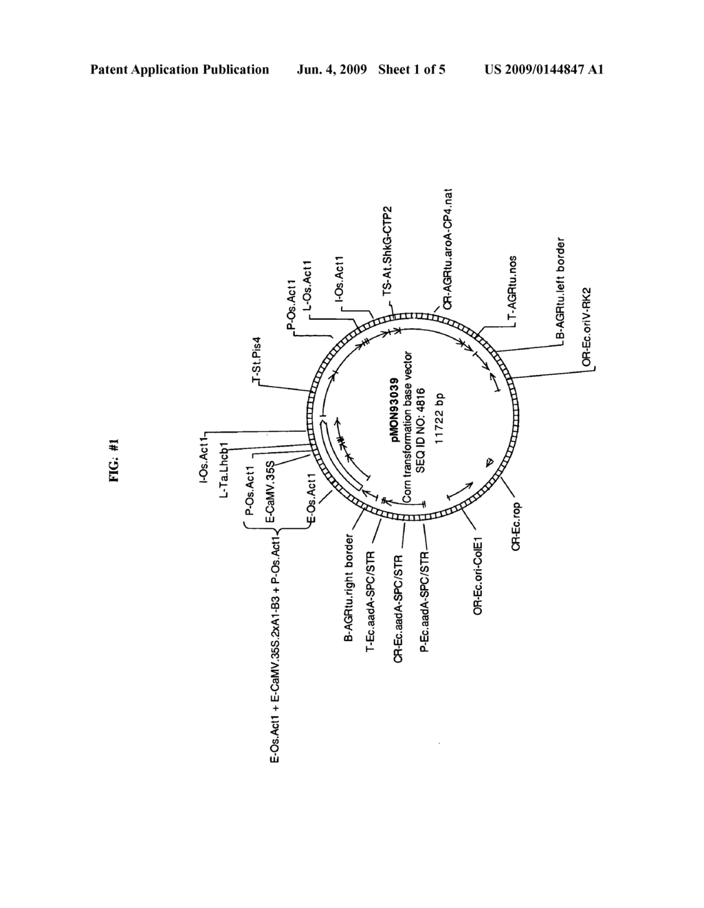 Genes and uses for plant enhancement - diagram, schematic, and image 02