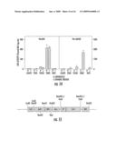 GENETIC METHOD diagram and image