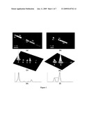 ENERGY TRANSFER THROUGH SURFACE PLASMON RESONANCE EXCITATION ON MULTISEGMENTED NANOWIRES diagram and image