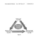 ENERGY TRANSFER THROUGH SURFACE PLASMON RESONANCE EXCITATION ON MULTISEGMENTED NANOWIRES diagram and image