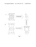 DEGRADABLE POLYACRYLAMIDE GEL diagram and image