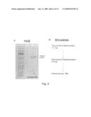 DEGRADABLE POLYACRYLAMIDE GEL diagram and image