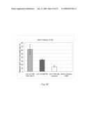 DEGRADABLE POLYACRYLAMIDE GEL diagram and image