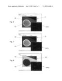 METHOD AND MEASURING SYSTEM FOR DETERMINING THE OXYGEN PARTIAL PRESSURE DISTRIBUTION IN AT LEAST ONE TISSUE SURFACE SECTION, IN PARTICULAR SKIN TISSUE SURFACE SECTION diagram and image