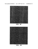 Semiconductive percolating networks diagram and image