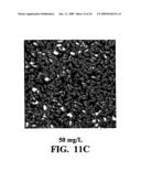 Semiconductive percolating networks diagram and image