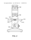 Microscope calibration apparatus and method and stage including calibration apparatus diagram and image