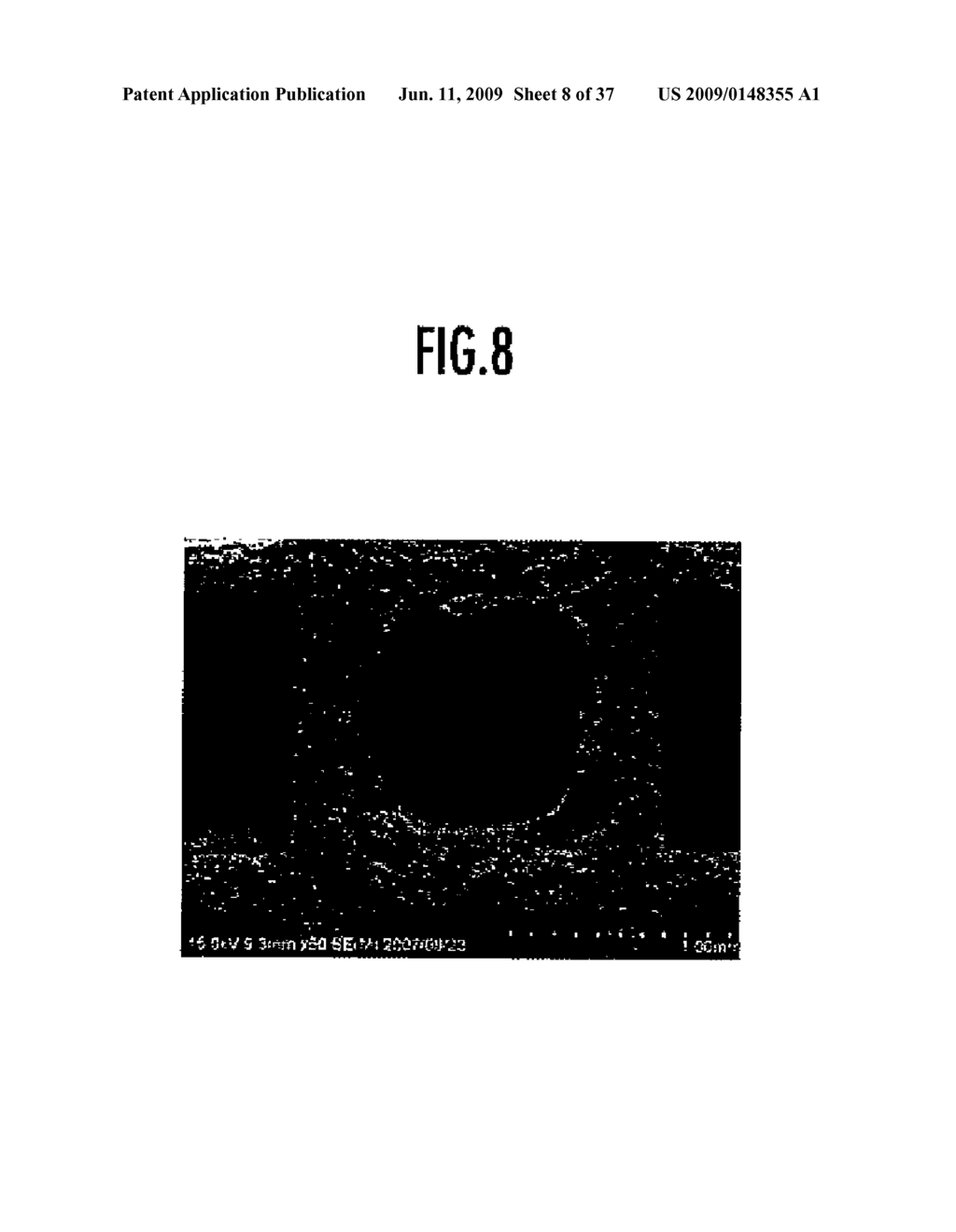 OXIDATION CATALYST APPARATUS FOR PURIFYING EXHAUST GAS - diagram, schematic, and image 09