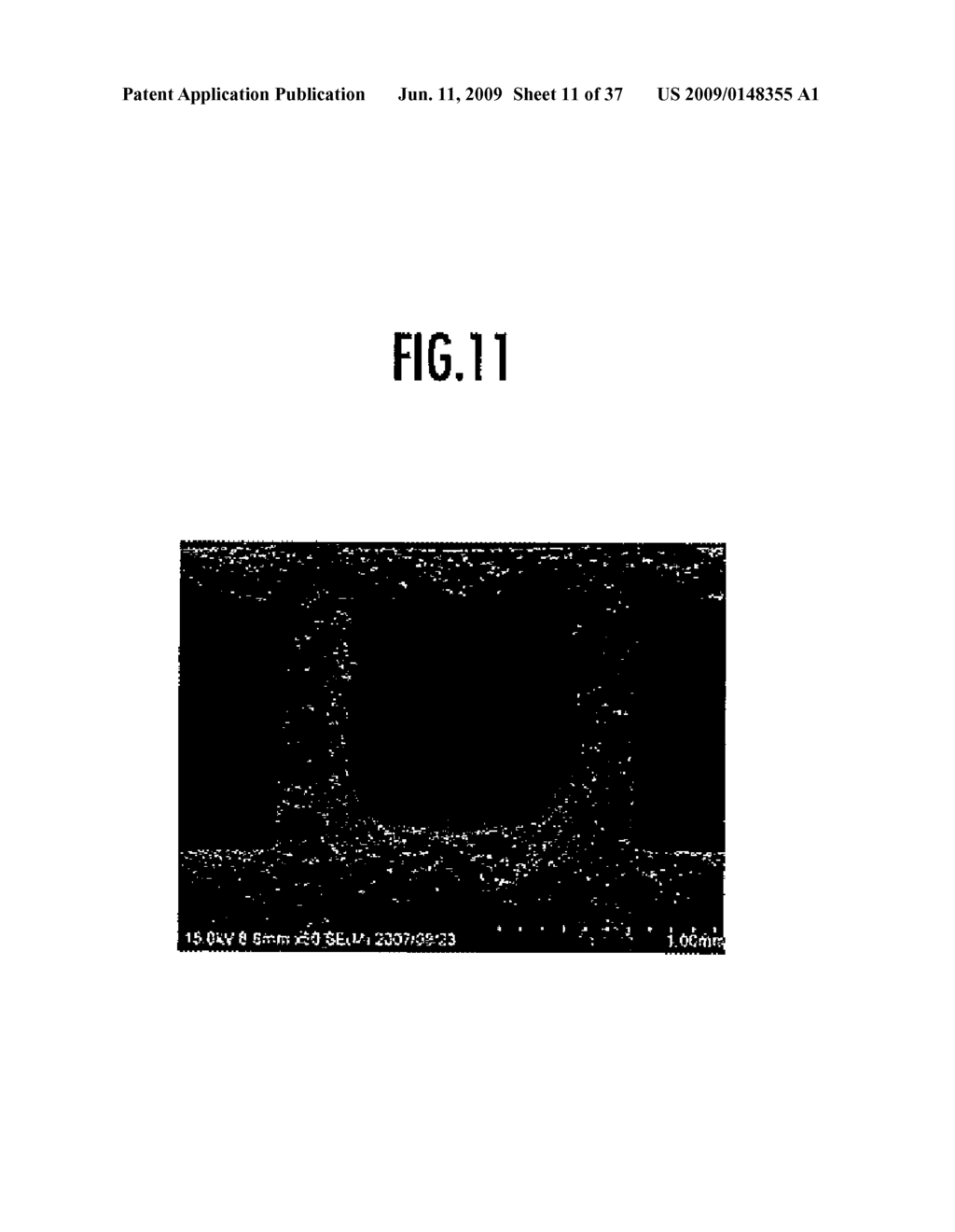 OXIDATION CATALYST APPARATUS FOR PURIFYING EXHAUST GAS - diagram, schematic, and image 12