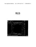 OXIDATION CATALYST APPARATUS FOR PURIFYING EXHAUST GAS diagram and image