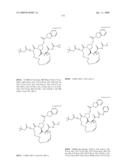 Novel Macrocyclic Inhibitors of Hepatitis C Virus Replication diagram and image