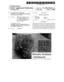 ANGIOGENICALLY INDUCED TRANSPLANTS AND METHODS FOR THEIR USE AND MANUFACTURE diagram and image