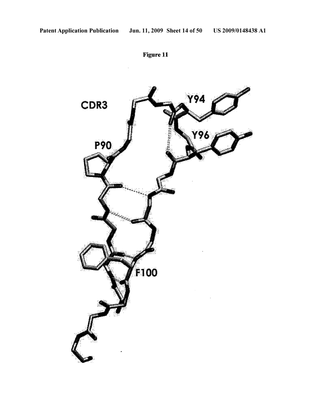 Binding Moieties Based on Shark Ignar Domains - diagram, schematic, and image 15