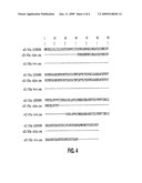 ANTIBODIES AGAINST INTERLEUKIN-22 BINDING PROTEIN AND ITS USES FOR THE TREATMENT OF METABOLIC DISORDERS diagram and image