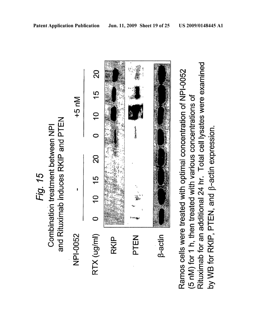 METHODS OF SENSITIZING CANCER TO THERAPY-INDUCED CYTOTOXICITY - diagram, schematic, and image 20