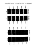 ATF4 As A Therapeutic Target In Alzheimers Disease And Other Neurological Disorders diagram and image