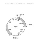 ATF4 As A Therapeutic Target In Alzheimers Disease And Other Neurological Disorders diagram and image