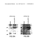 ATF4 As A Therapeutic Target In Alzheimers Disease And Other Neurological Disorders diagram and image