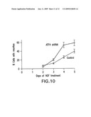 ATF4 As A Therapeutic Target In Alzheimers Disease And Other Neurological Disorders diagram and image