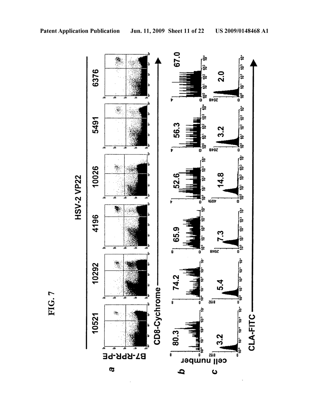 RAPID, EFFICIENT PURIFICATION OF HSV-SPECIFIC T-LYMPHOCYTES AND HSV ANTIGENS IDENTIFIED VIA SAME - diagram, schematic, and image 12