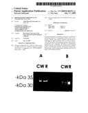 PROTEIN-BASED STREPTOCOCCUS PNEUMONIAE VACCINES diagram and image